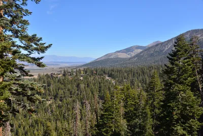 DSC_7821 (Large).JPG